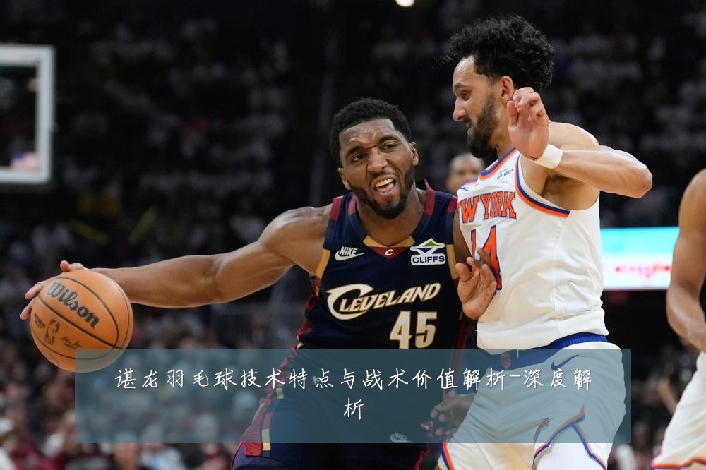 谌龙羽毛球技术特点与战术价值解析-深度解析