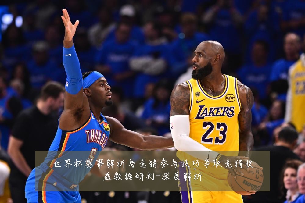 世界杯赛事解析与竞猜参与技巧争取竞猜收益数据研判-深度解析